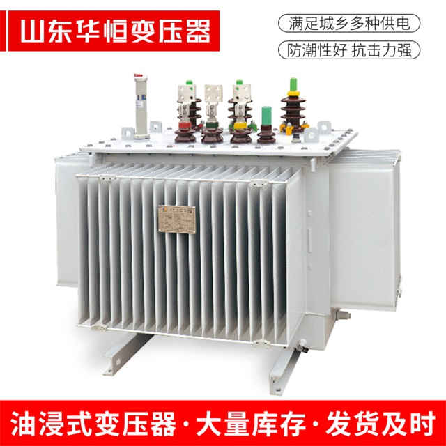 S13-10000/35德州德州德州电力变压器